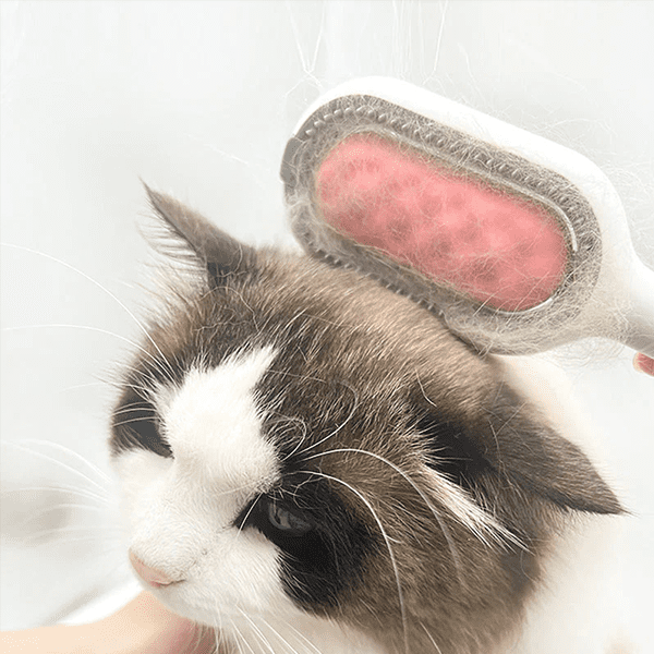 PetGroom® Dubbelzijdig Met Watertank | NU + 10 Doekjes